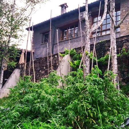 Casa Can Boix La Vall de Bianya Ngoại thất bức ảnh