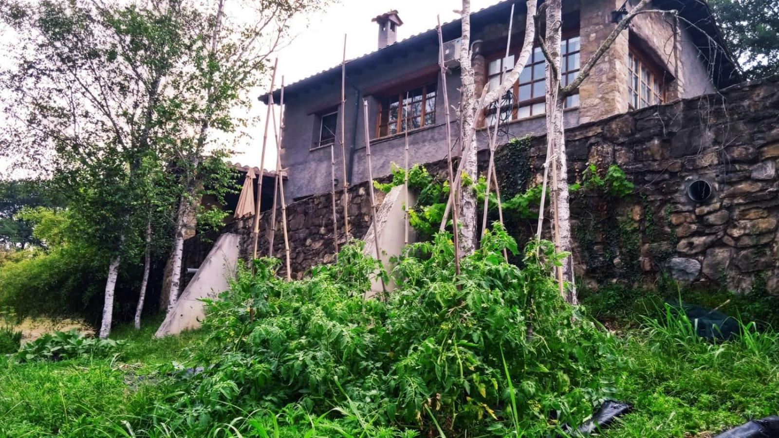 Casa Can Boix La Vall de Bianya Ngoại thất bức ảnh
