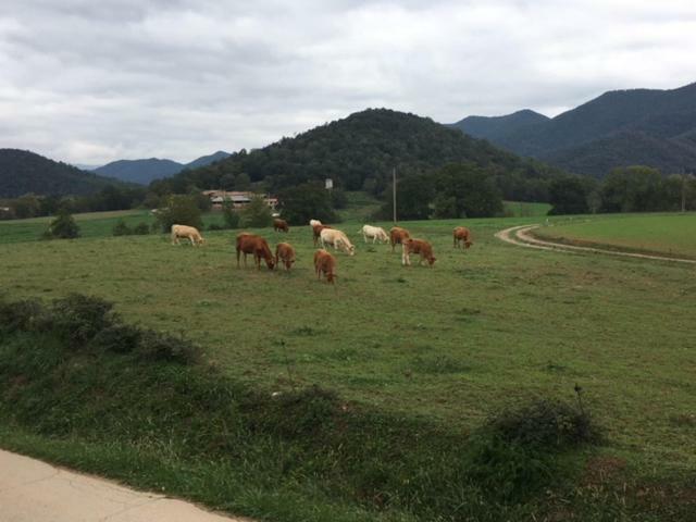 Casa Can Boix La Vall de Bianya Ngoại thất bức ảnh